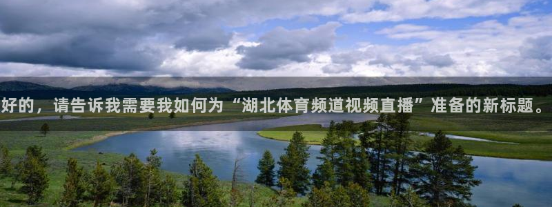 好的，请告诉我需要我如何为“湖北体育频道视频直播”准备的新标题。