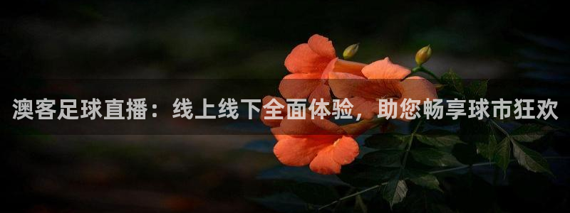 澳客足球直播：线上线下全面体验，助您畅享球市狂欢