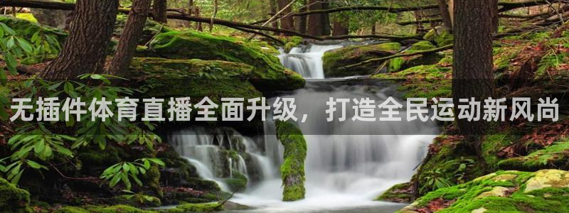 无插件体育直播全面升级，打造全民运动新风尚