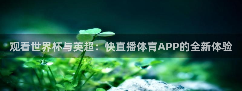 观看世界杯与英超：快直播体育APP的全新体验