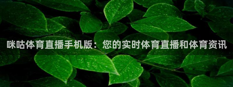 咪咕体育直播手机版：您的实时体育直播和体育资讯